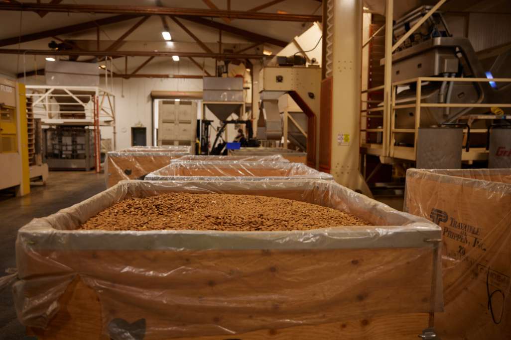 Agriculture Wooden Bins Bulk Harvest Storage Crates